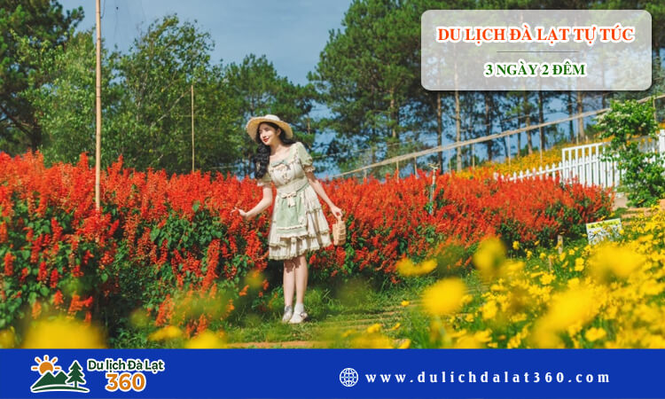 Du lịch Đà Lạt tự túc 3 ngày 2 đêm 