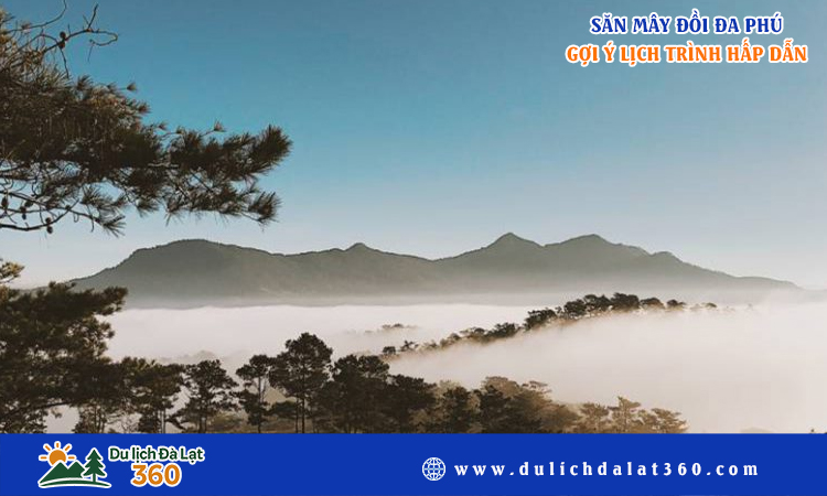 Săn mây đồi Đa Phú