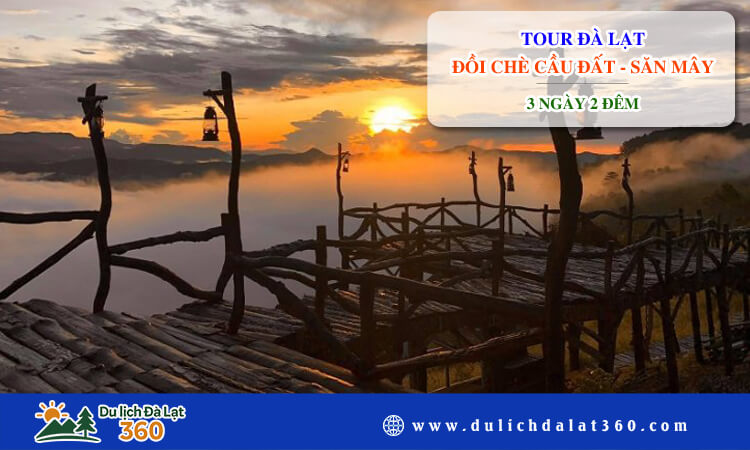 Tour Đà Lạt - Đồi Chè Cầu Đất - Săn Mây 3 ngày 2 đêm 