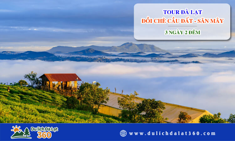 Tour Đà Lạt - Đồi Chè Cầu Đất - Săn Mây 3 ngày 2 đêm 